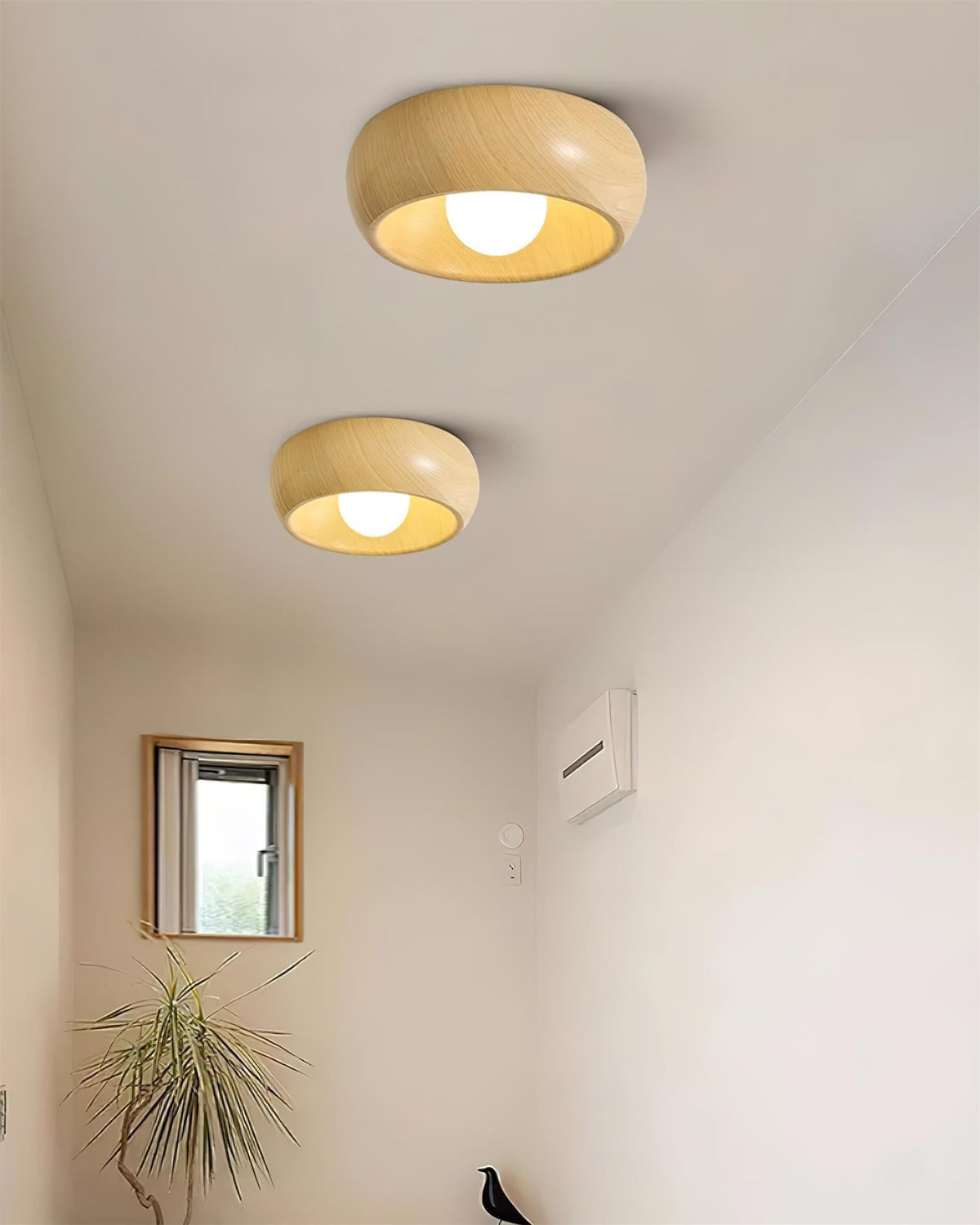 Selivel Ceiling Light