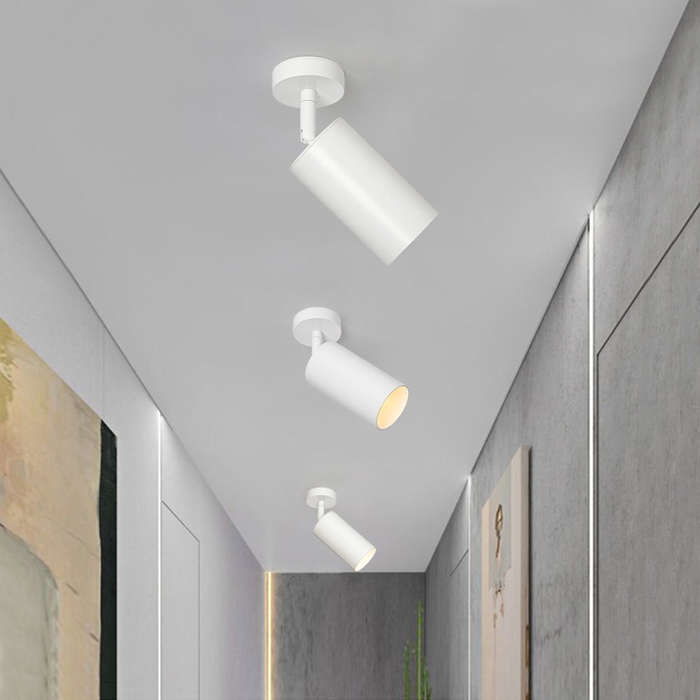 Mjolkun Modern Ceiling Spot Light Track Light