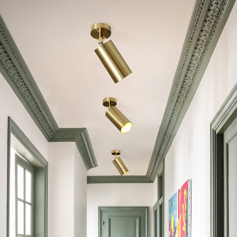 Mjolkun Modern Ceiling Spot Light Track Light